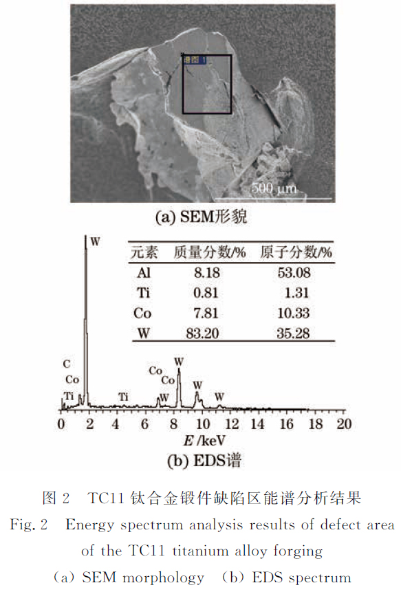 1664615550832534.jpg 2.jpg