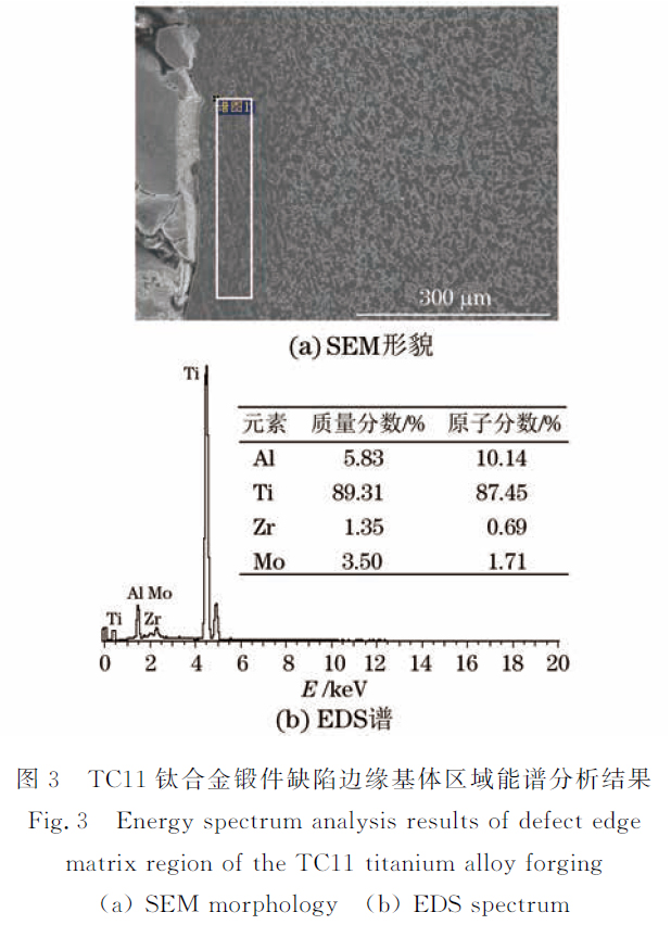 1664615560500880.jpg 3.jpg