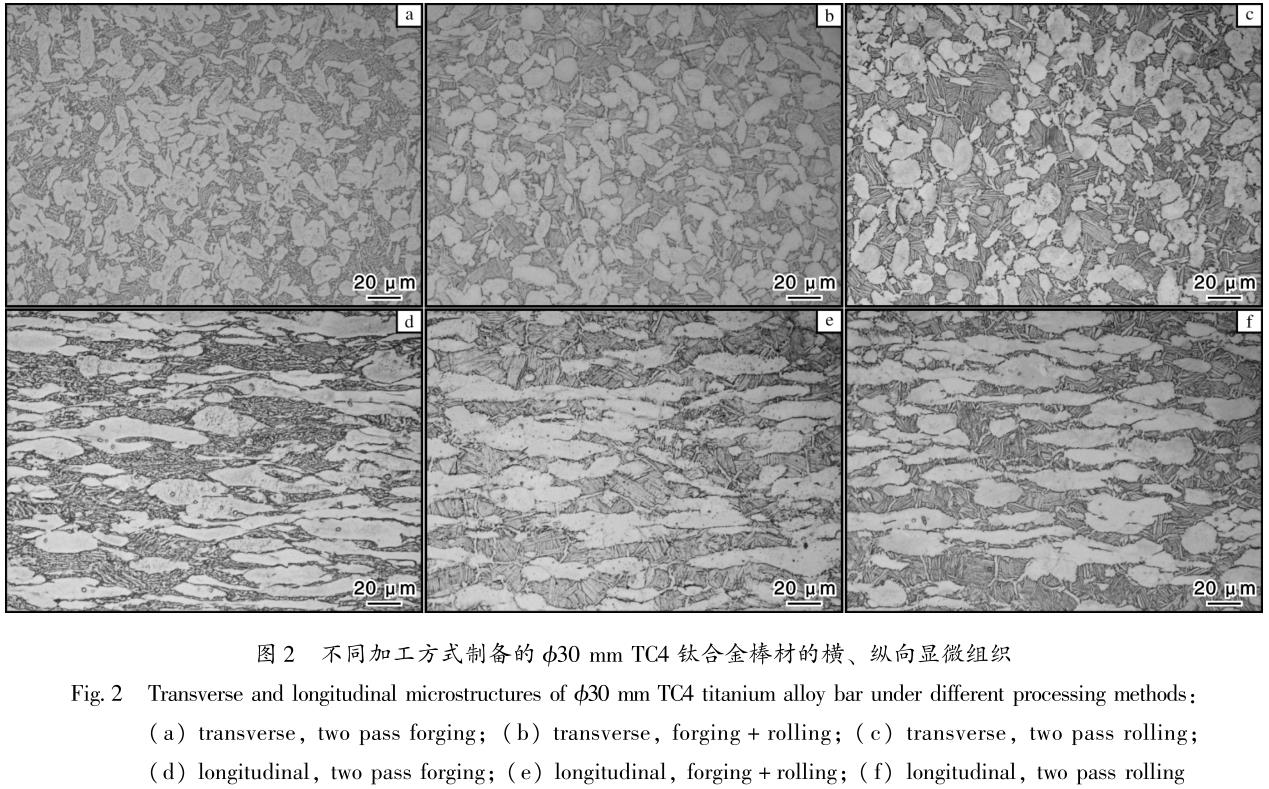 1686562795693414.jpg t2.jpg