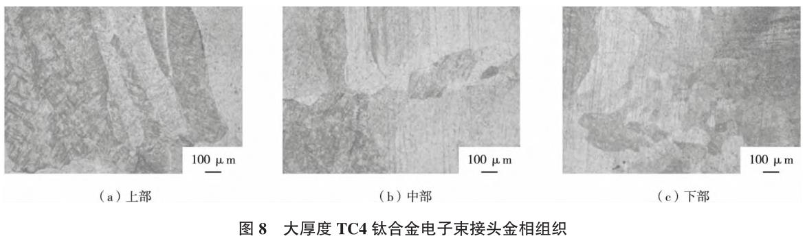 1692070406474391.jpg t8.jpg