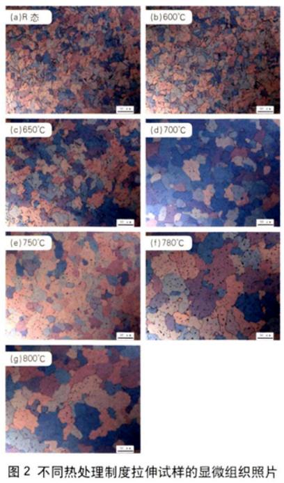 1697511955699550.jpg t2.jpg