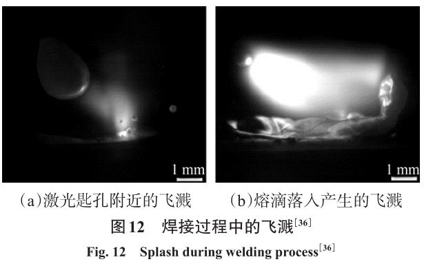 1704879471333710.jpg t12.jpg