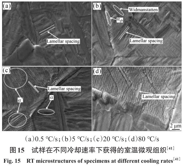 1704879495618925.jpg t15.jpg