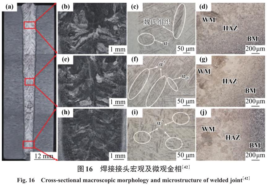 1704879507365831.jpg t16.jpg