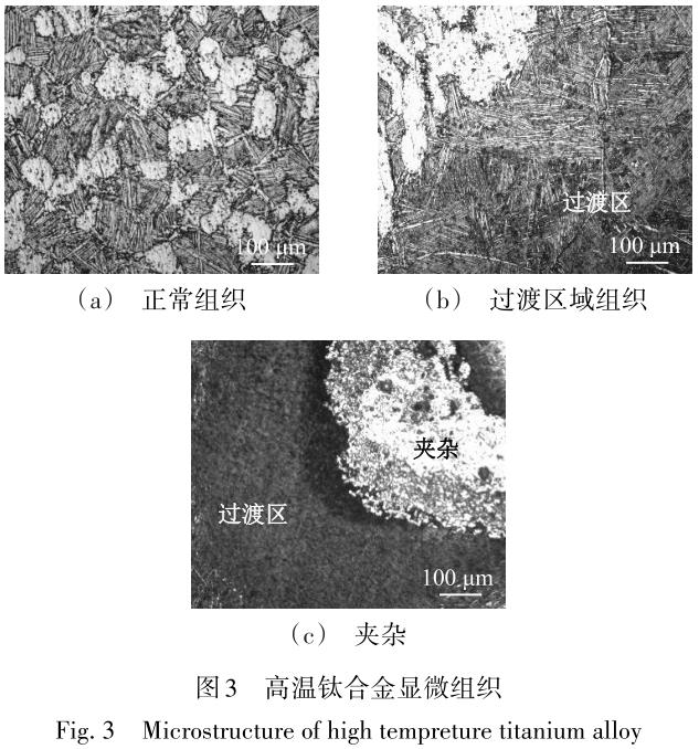 1704887216879394.jpg t3.jpg