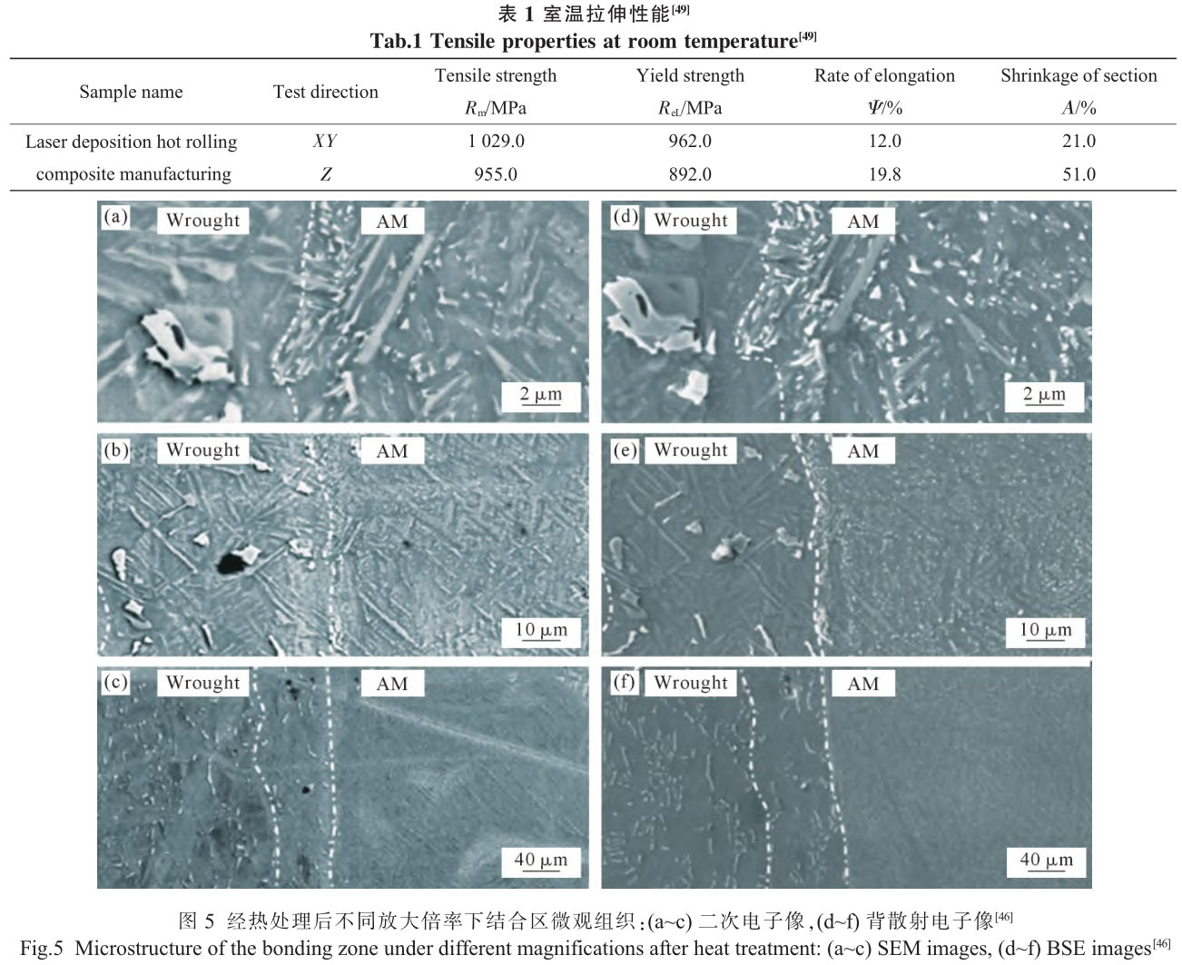 1705821560401401.jpg b1-t5.jpg