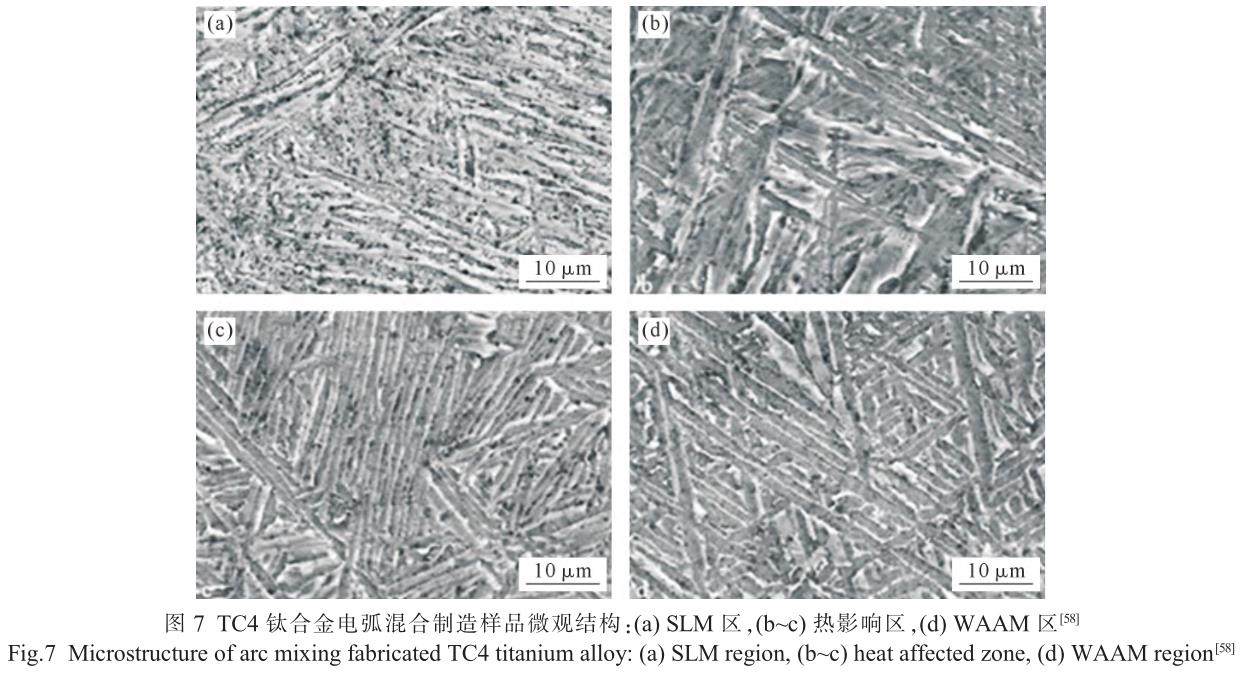 1705821579708530.jpg t7.jpg