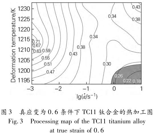 1705848763153138.jpg t3.jpg