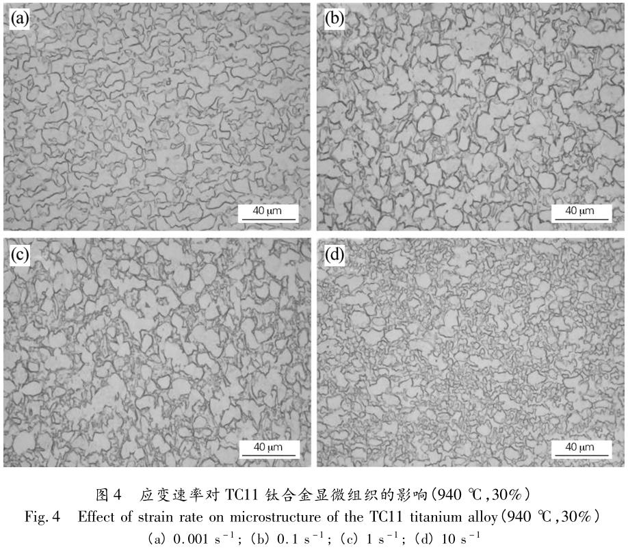 1705848778292739.jpg t4.jpg