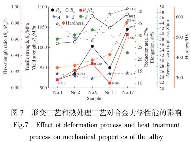 1705876513907755.jpg t7.jpg