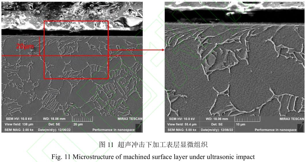 1705891956384964.jpg t11.jpg