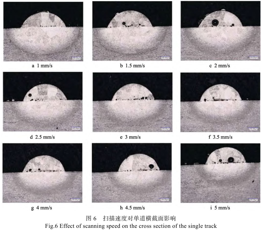 1708271014396044.jpg t6.jpg