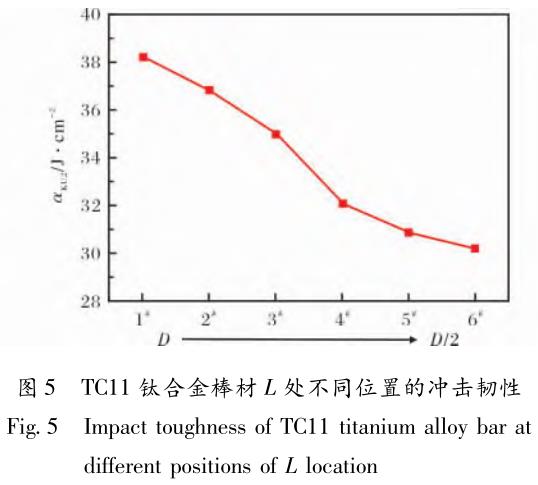 1708396697854134.jpg t5.jpg