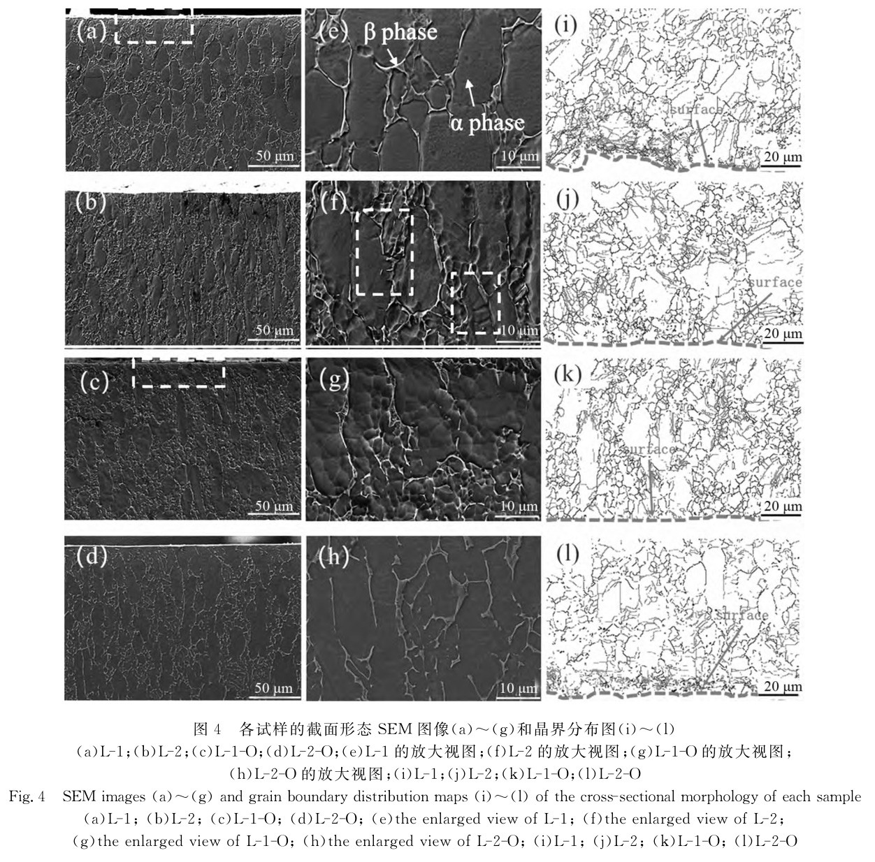 1708868518228730.jpg t4.jpg