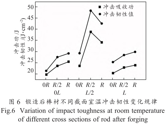 1708870584464445.jpg t6.jpg