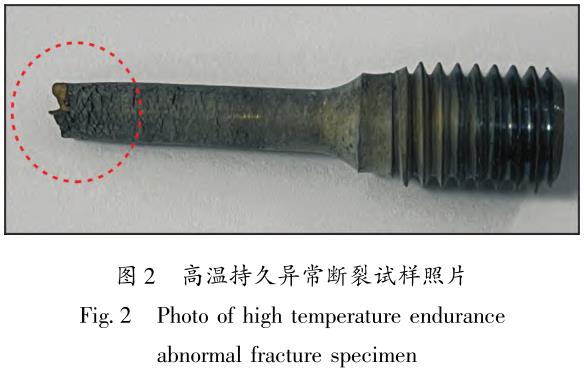 1710991524814441.jpg t2.jpg